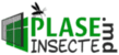 Plaseinsecte